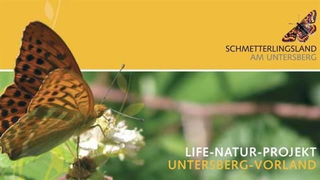 Foto für Schmetterlinge fliegen auf Großgmainer Natura 2000-Gebiet Untersberg-Vorland